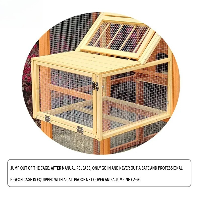 Jaula de Cría para Aves de Cor - Urban Farming House reseña y precio